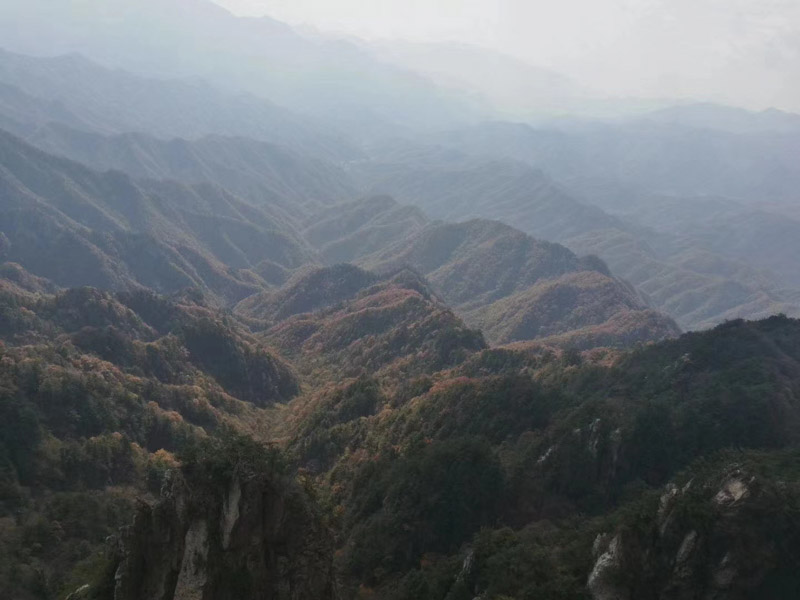 遭遇盜竊不要慌，上海經(jīng)濟犯罪律師來幫忙