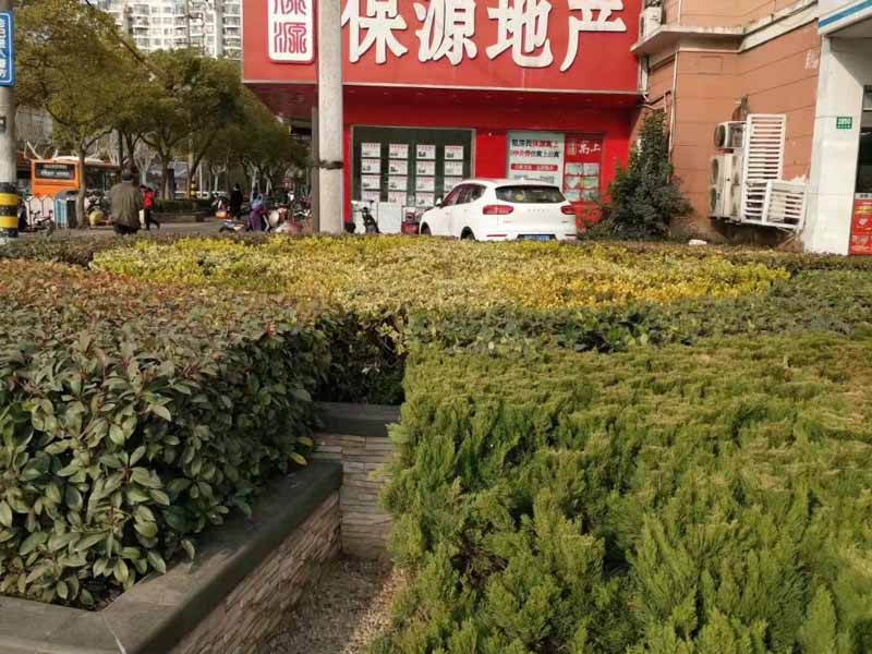 上海專業(yè)離婚律師來講講上市公司股東離婚需要注意的問題